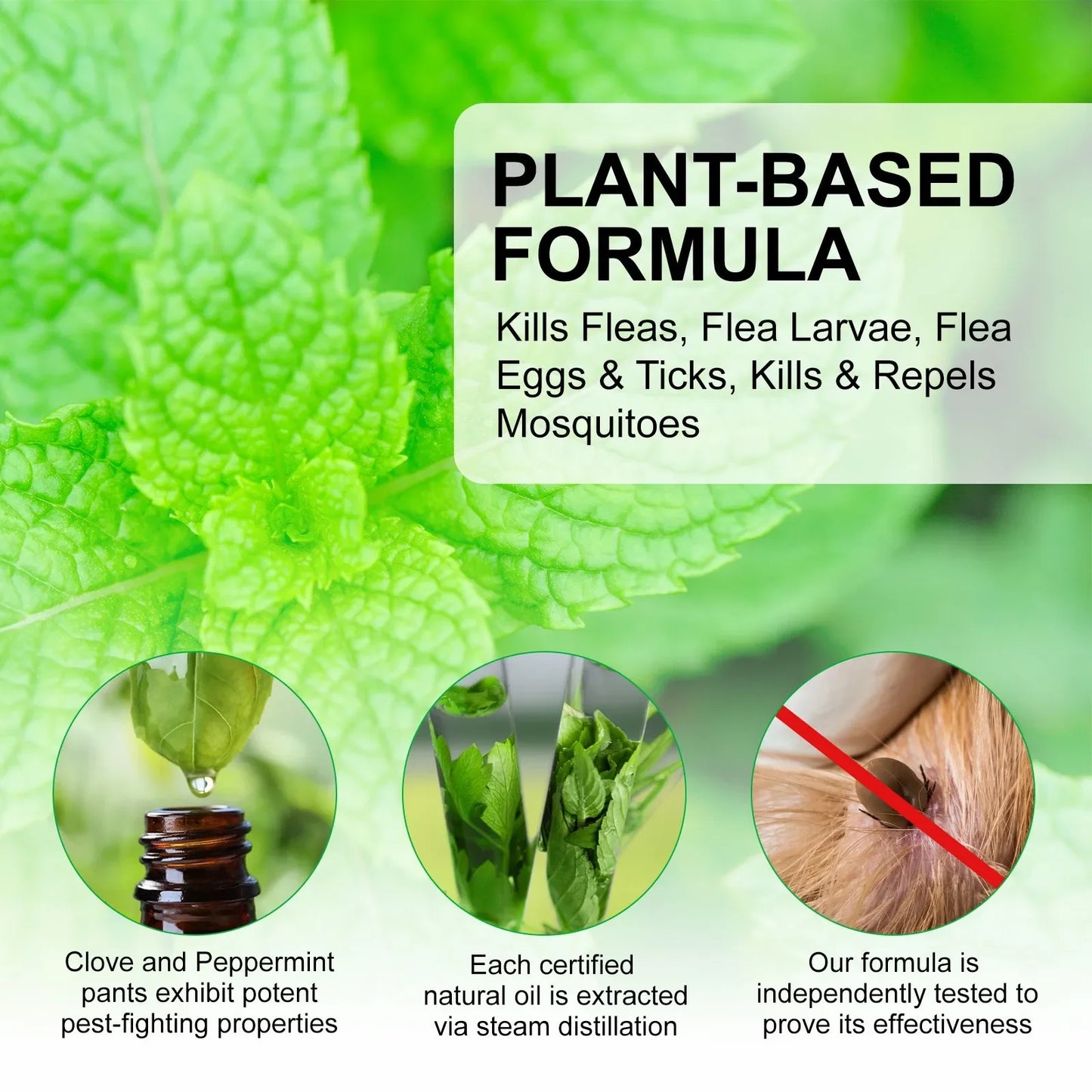 60ml Natural Pet Care Topical Flea&Tick Spray for Dogs&Cats with Fresh Fragrance Peppermint Oil and Eugenol