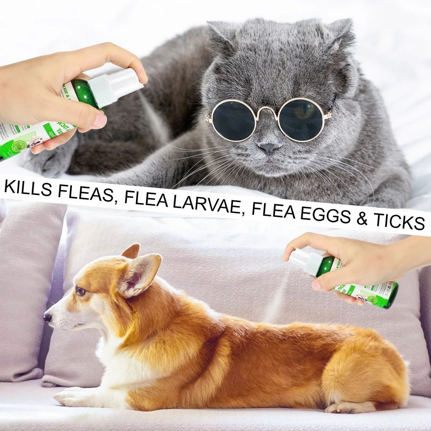 60ml Natural Pet Care Topical Flea&Tick Spray for Dogs&Cats with Fresh Fragrance Peppermint Oil and Eugenol